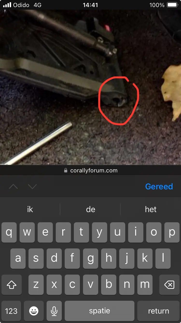 1725972538384.webp