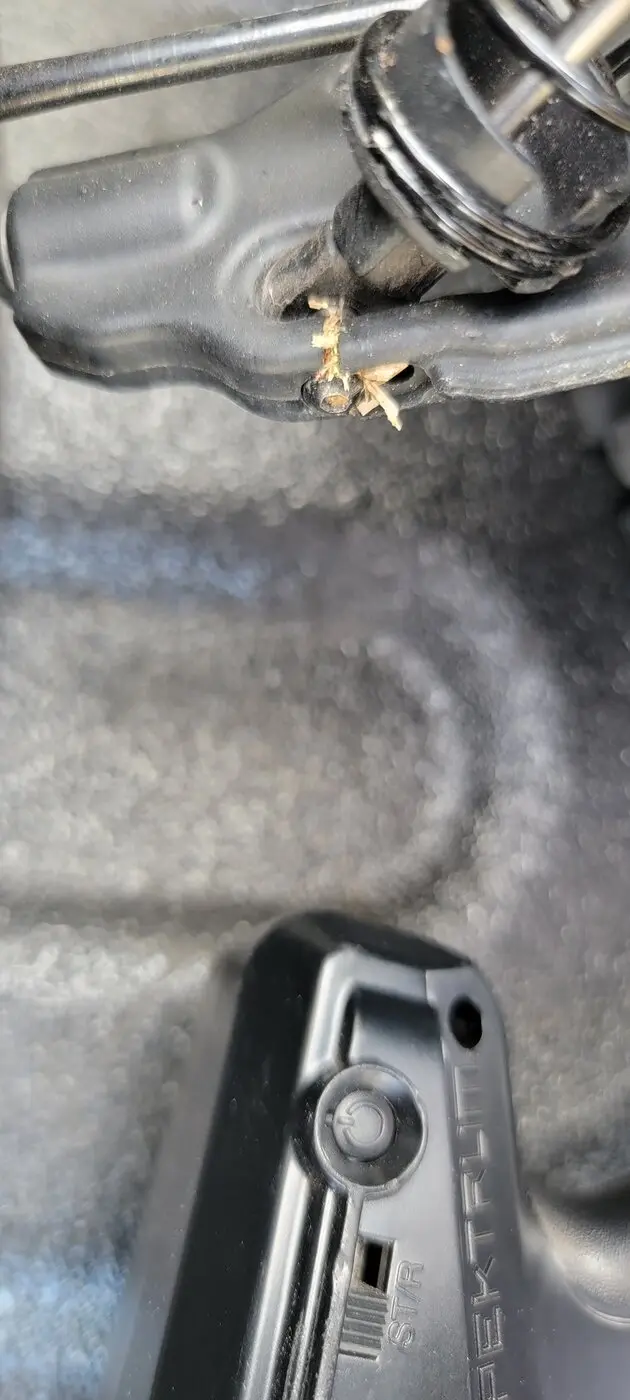 20220211_134037.webp