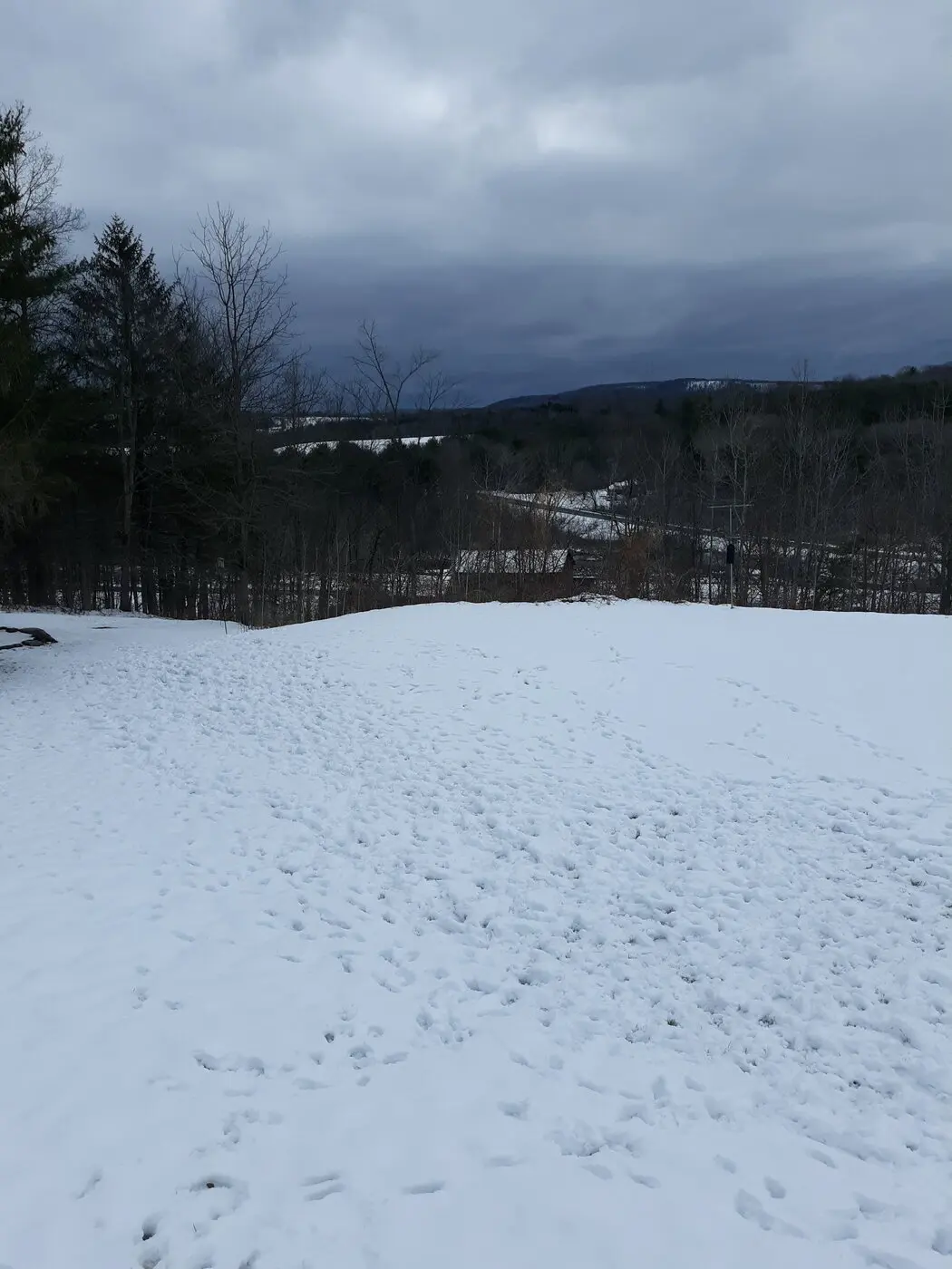 20240406_095850.webp