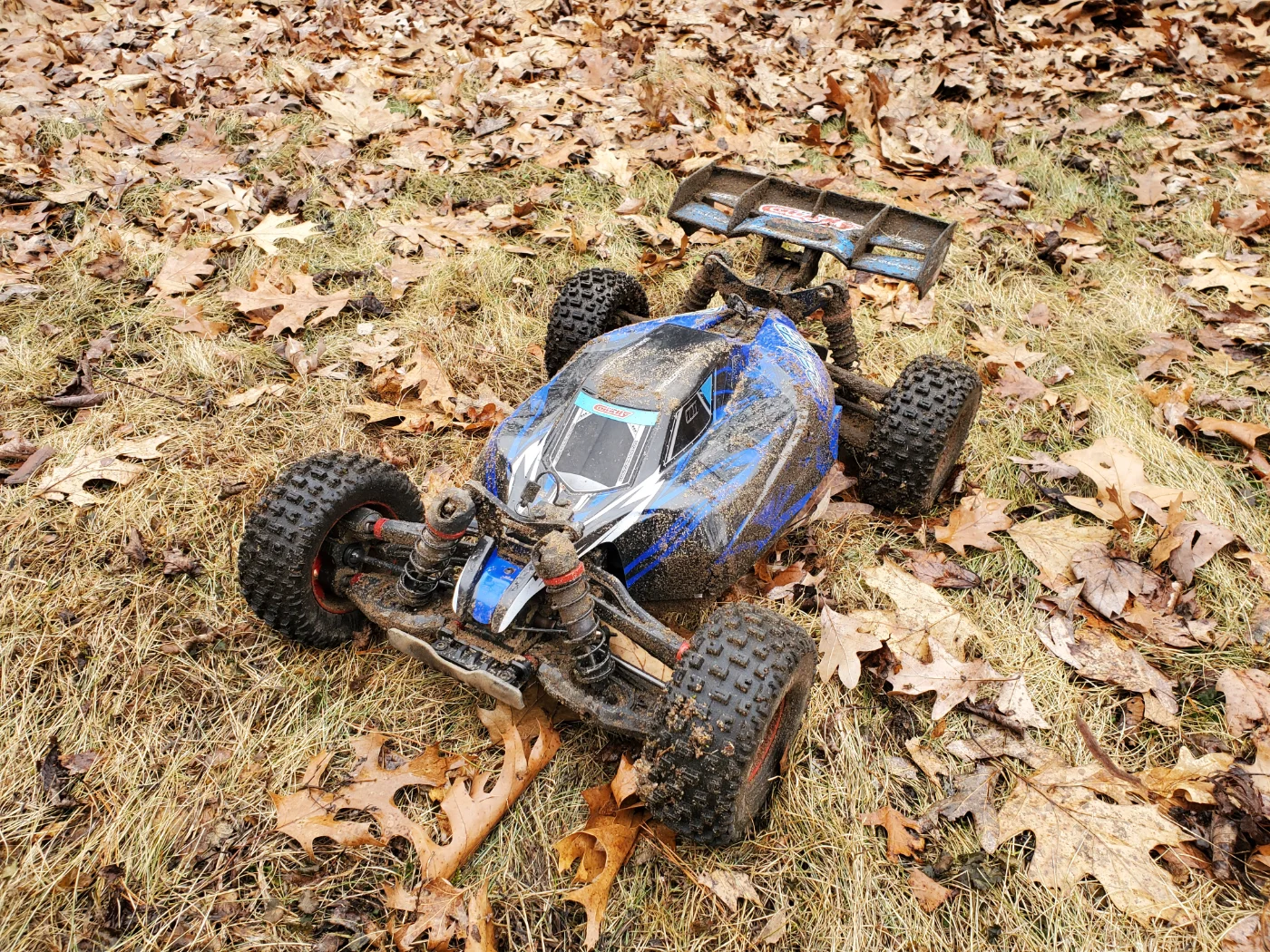20250202_124357.webp