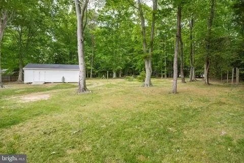 backyard 2.jpg