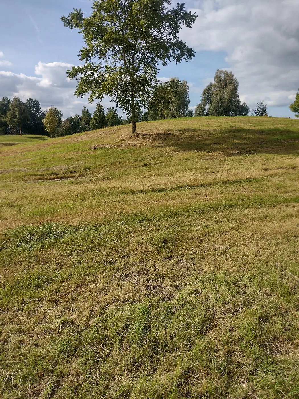 IMG_20240914_155658238_HDR.webp