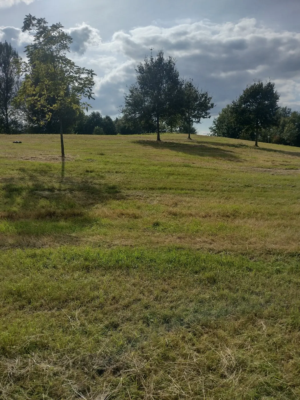 IMG_20240914_155701109_HDR.webp