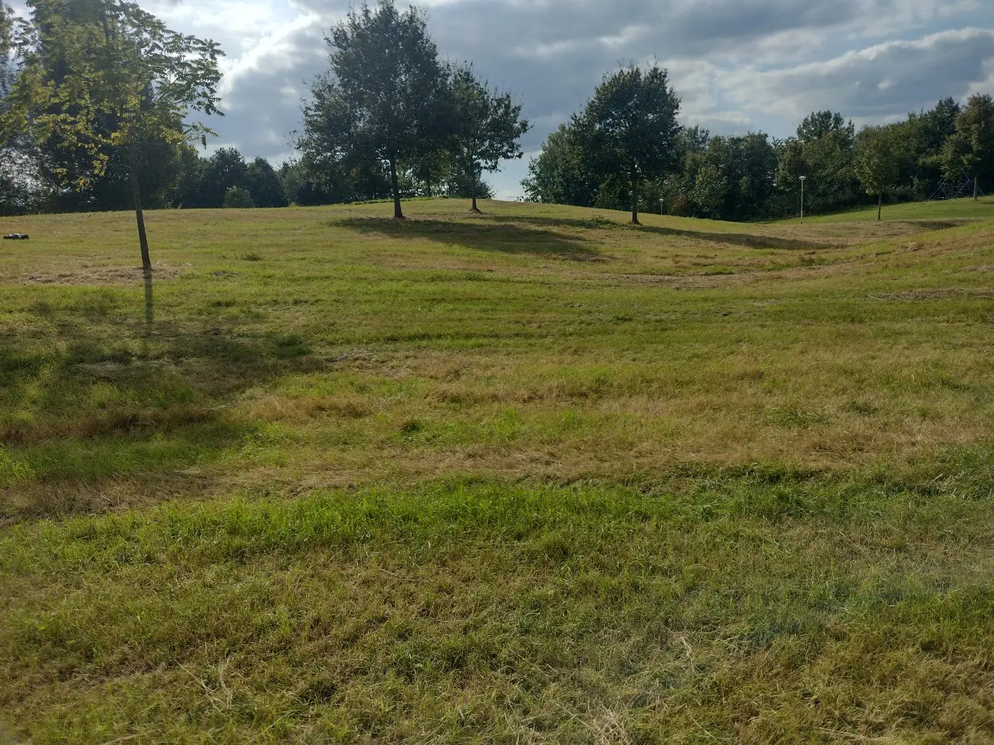 IMG_20240914_155711835_HDR.webp