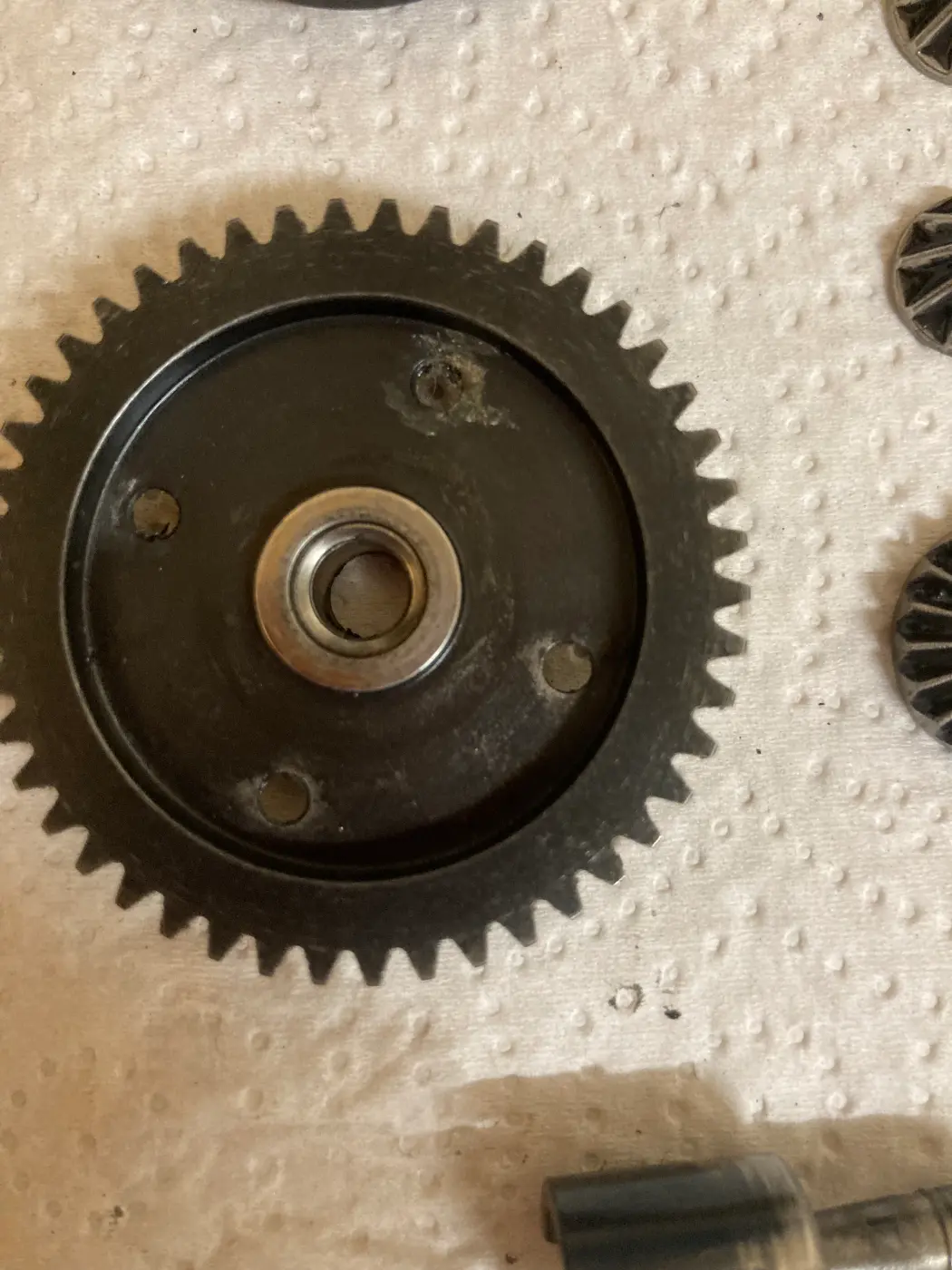 IMG_6009.webp