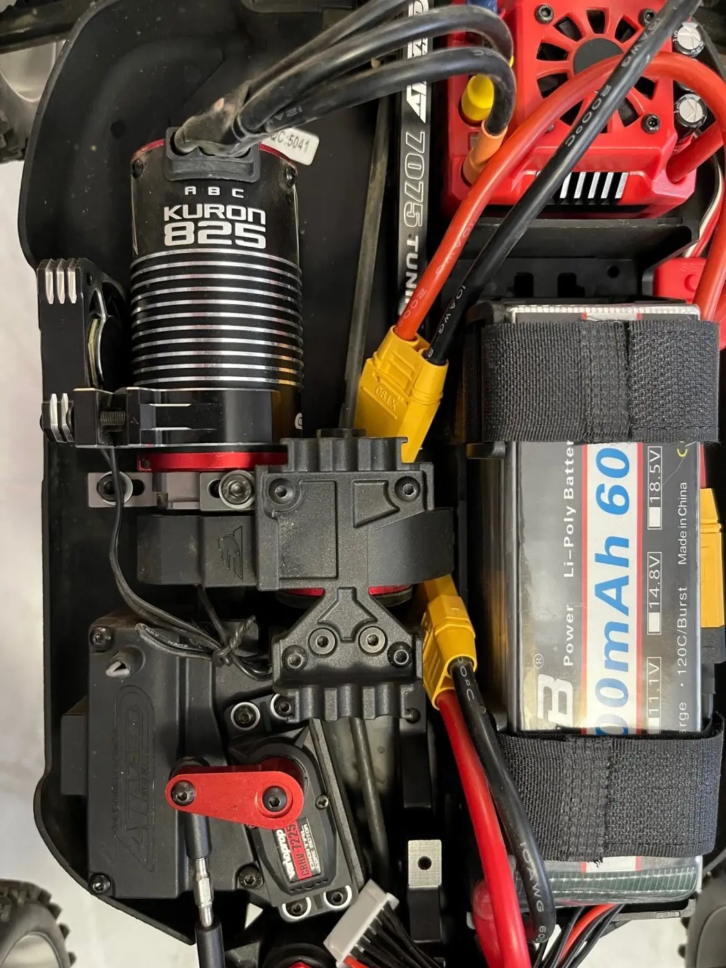 Radix motor area.webp