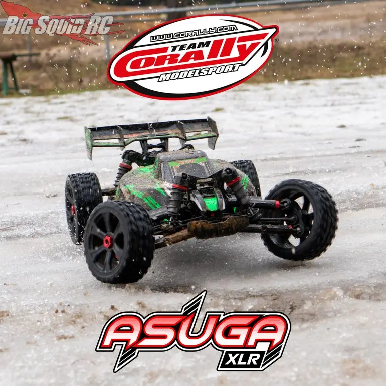 Team-Corally-RC-Asuga-XLR-Buggy-2.webp