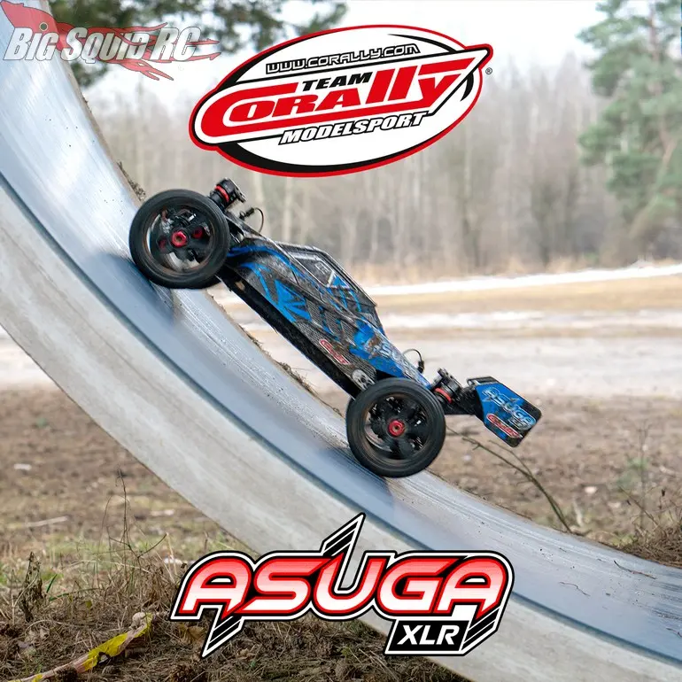 Team-Corally-RC-Asuga-XLR-Buggy-3.webp