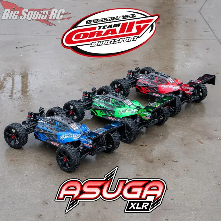 Team-Corally-RC-Asuga-XLR-Buggy-4.webp