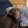 Grumpygaz